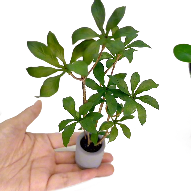 Bonsai Garden Miniature - 1:6 domek dla lalek miniaturowe rośliny