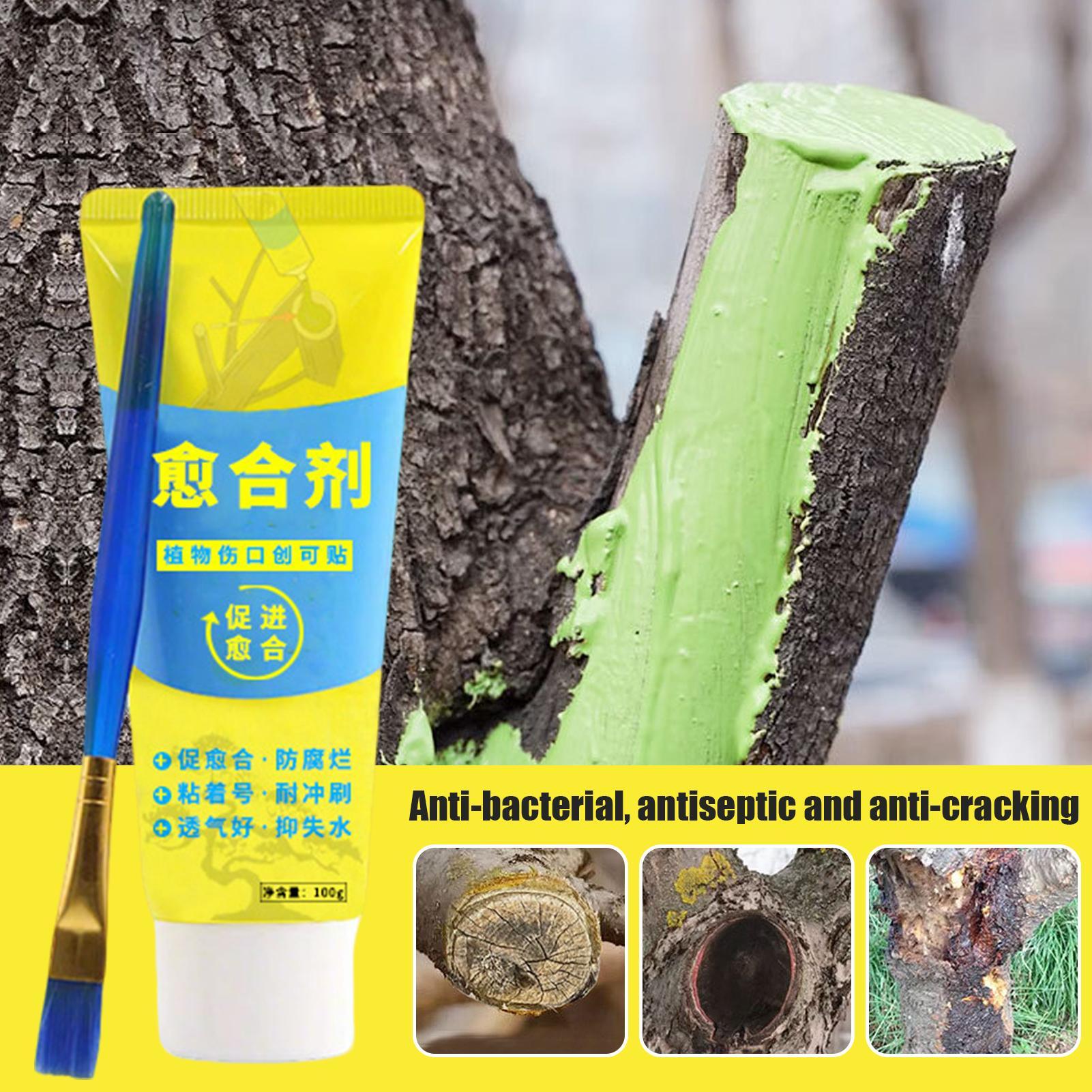 100g Pasta do Opatrunków Drzew – Bonsai Garden Tree recenzja i cena