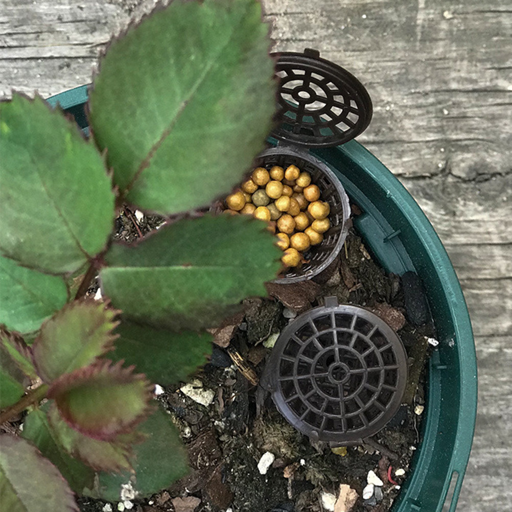 20 sztuk plastikowych pojemnik – Bonsai Gardener recenzja i cena