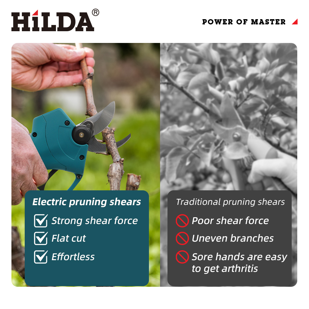 HILDA 18V Bezszczotkowe Akumul – Bonsai Garden Tree recenzja i cena