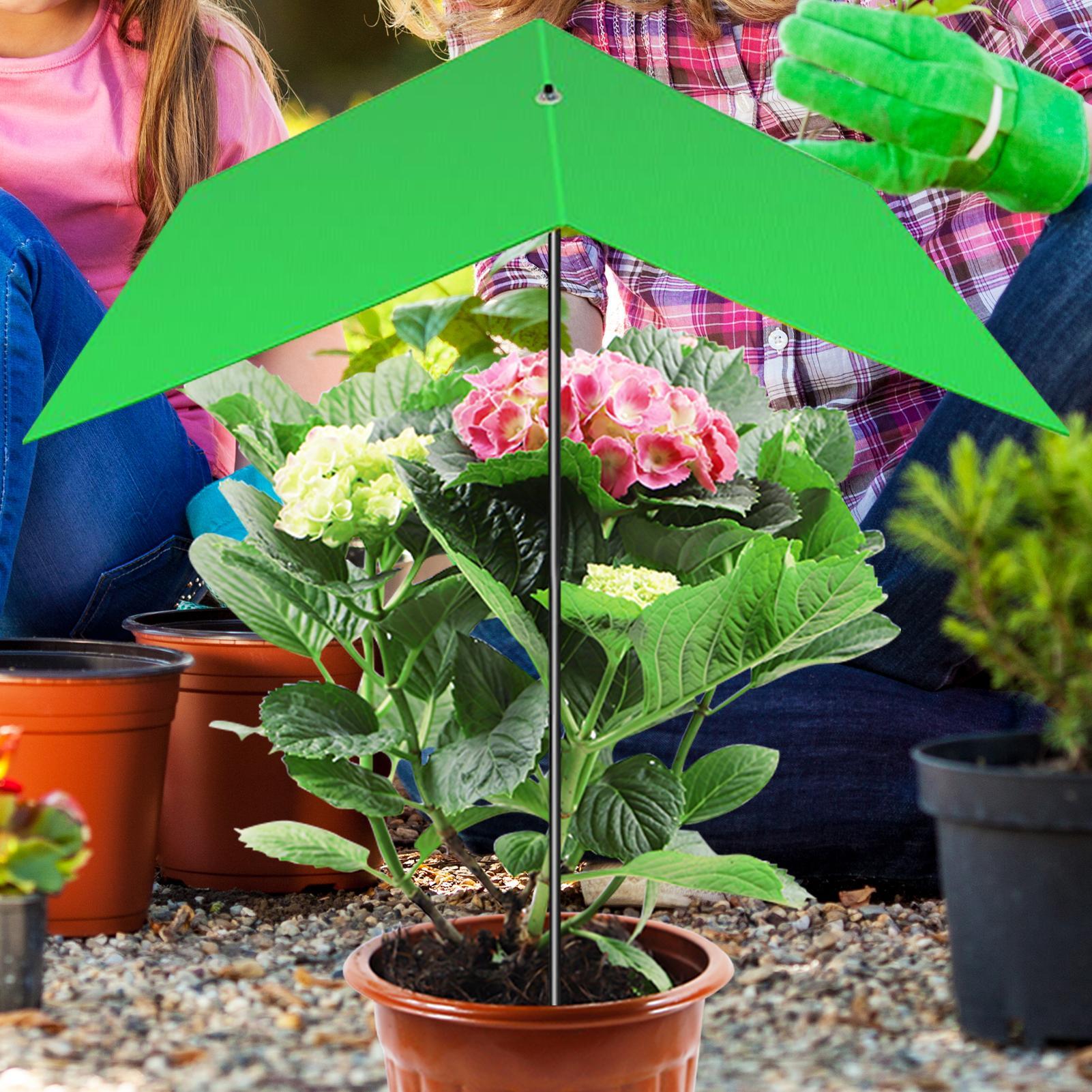Parasol do roślin, osłona prze – Bonsai Garden Cafe recenzja i cena