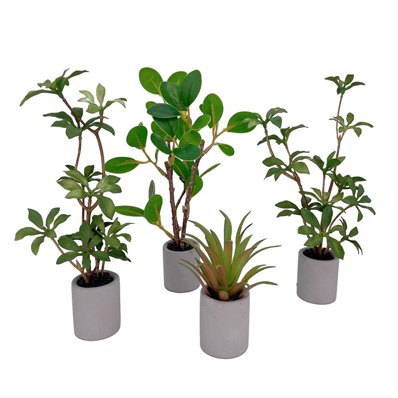 1:6 domek dla lalek miniaturow – Bonsai Garden Miniature recenzja i cena