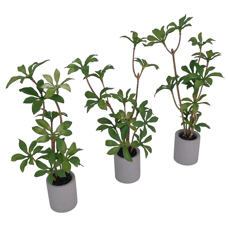 1:6 domek dla lalek miniaturow – Bonsai Garden Miniature recenzja i cena