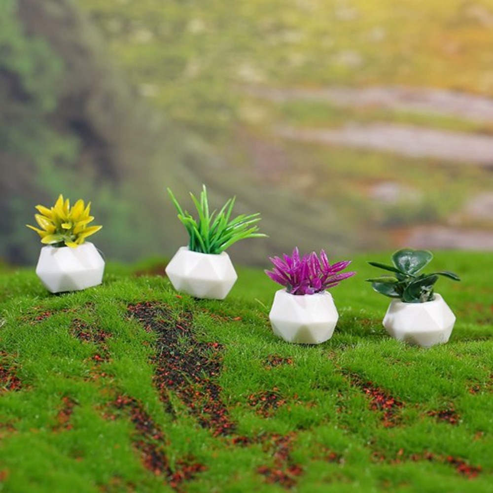 Miniaturowa doniczkowa roślina – Bonsai Garden Miniature recenzja i cena
