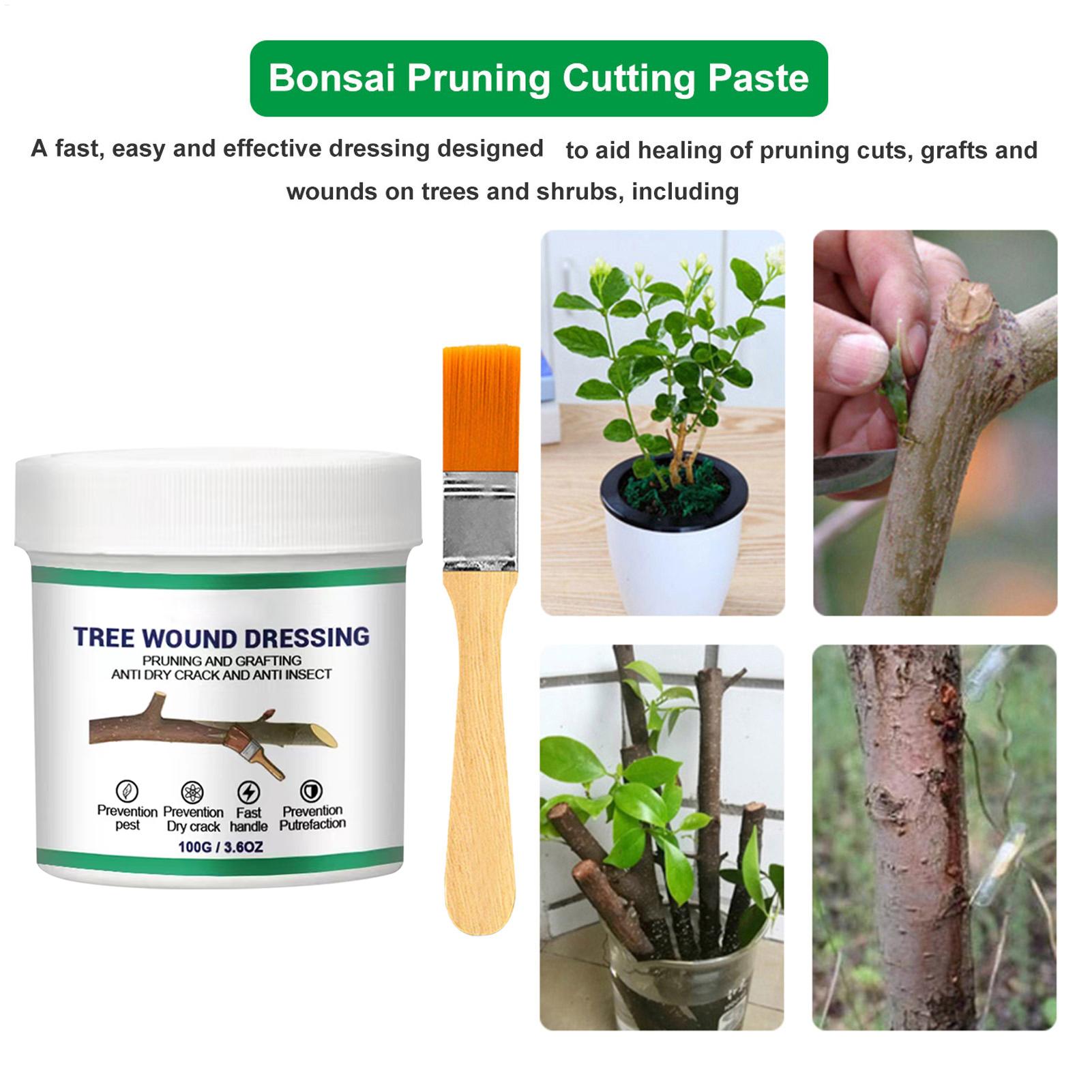 100g Uszczelniacz do ran drzew – Bonsai Garden Tree recenzja i cena