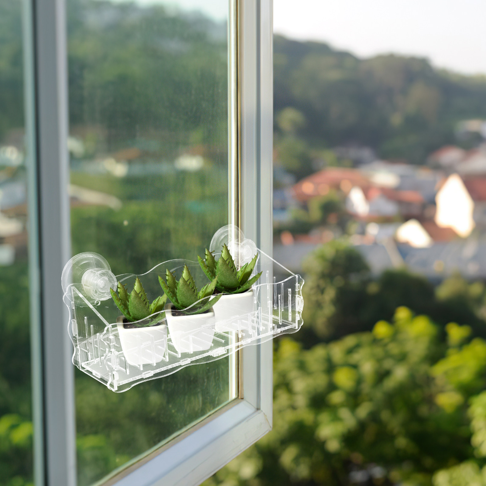 Przezroczysty, akrylowy pojemn – Bonsai Gardener recenzja i cena
