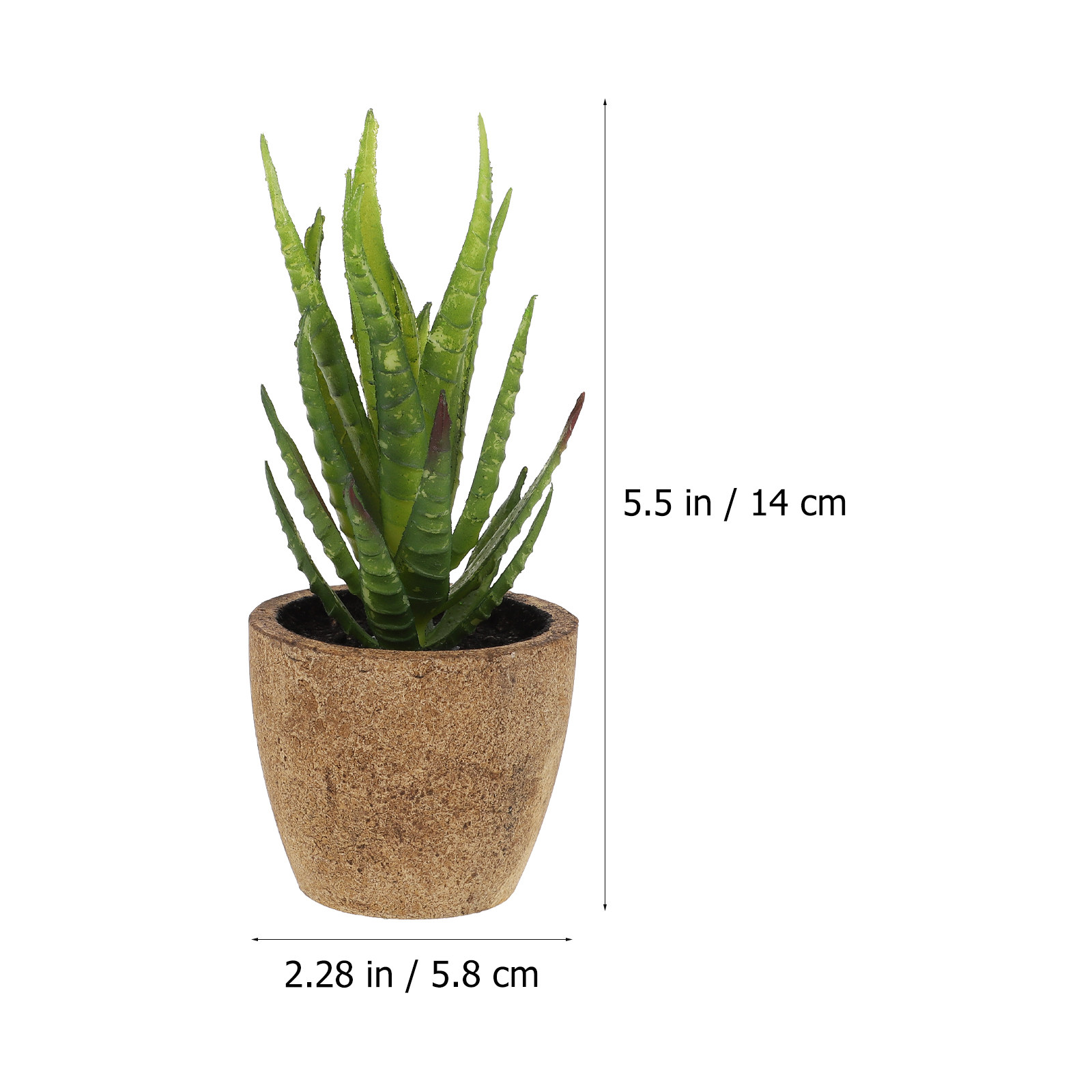 4 szt. Symulowane sukulenty bo – Bonsai Garden Cafe recenzja i cena