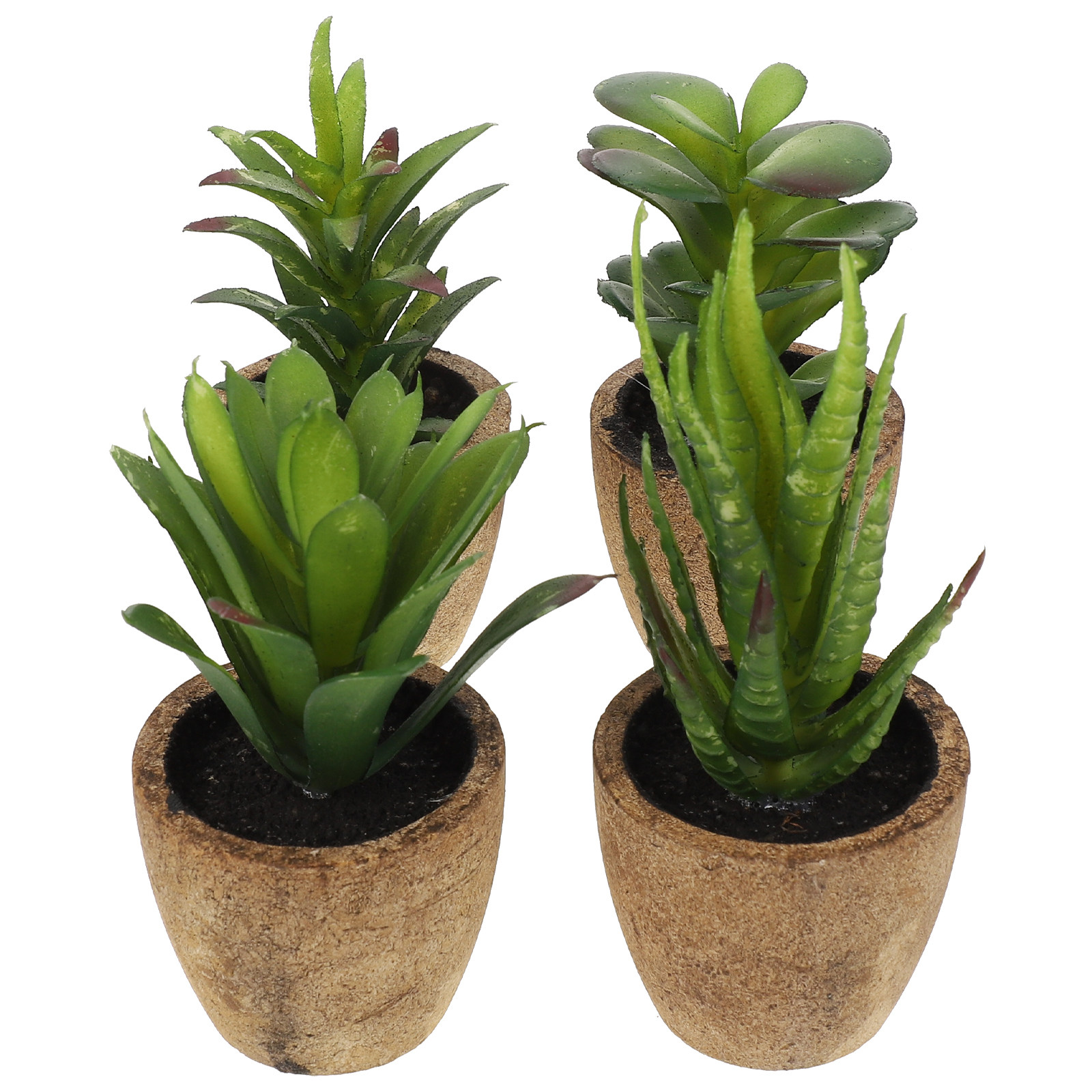 4 szt. Symulowane sukulenty bo – Bonsai Garden Cafe recenzja i cena