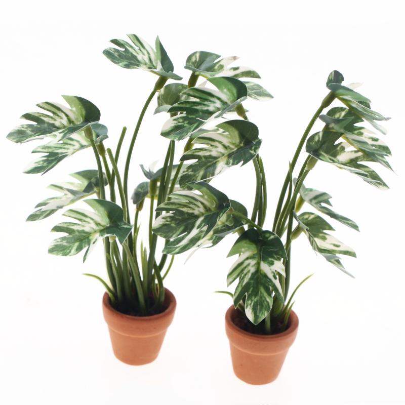 Nowy. 1 szt. 1/12 Symulacja ro – Bonsai Gardener recenzja i cena