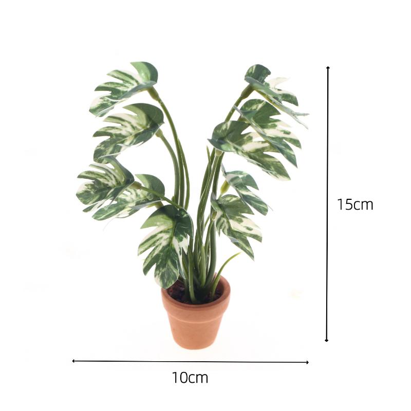 Nowy. 1 szt. 1/12 Symulacja ro – Bonsai Gardener recenzja i cena